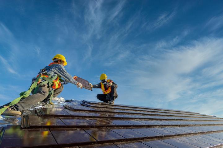Shingle Roofing Services Lindsay